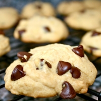 Thick and Chewy Chocolate Chip Cookies