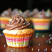 Perfect Yellow Cupcakes & Chocolate Buttercream