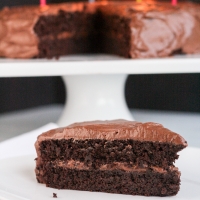 Luscious Chocolate Cake {Gluten Free}