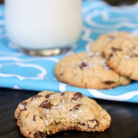 The BEST Chewy Gluten Free Chocolate Chip Cookies
